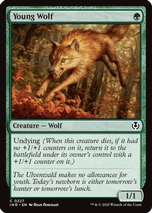 Young Wolf (227) - Innistrad Remastered | Silver Goblin