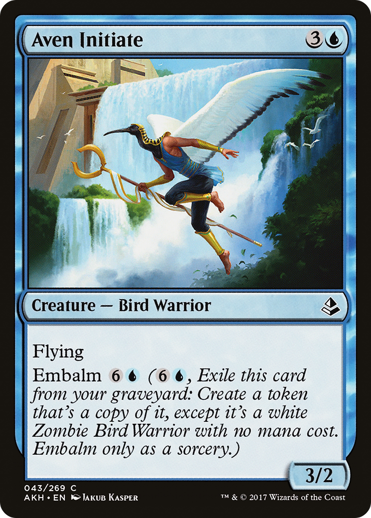 Aven Initiate (043) Foil - Amonkhet