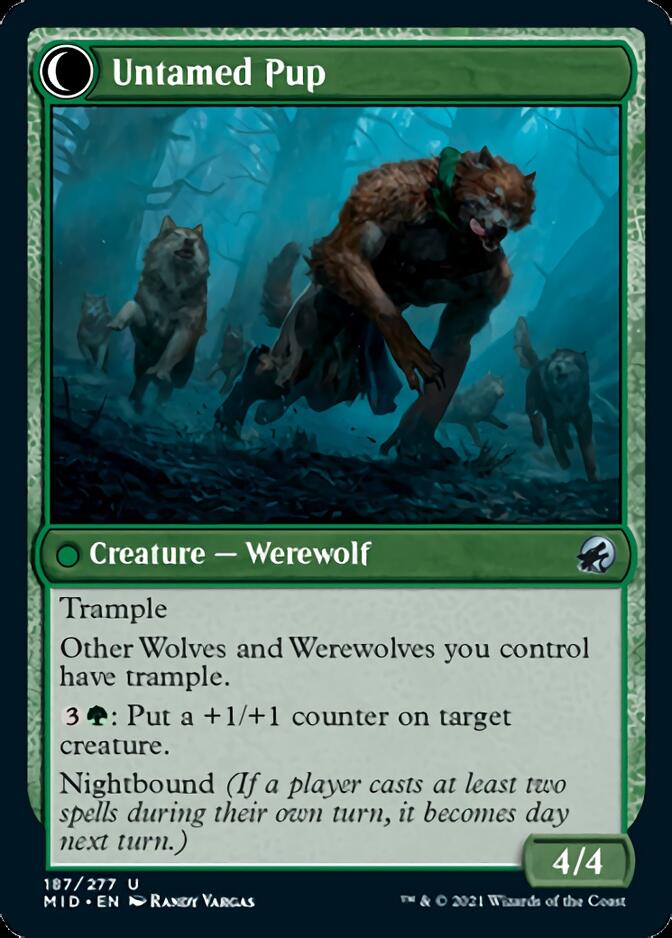 Hound Tamer // Untamed Pup (187) Foil - Innistrad: Midnight Hunt