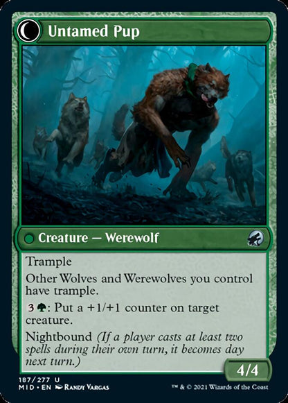Hound Tamer // Untamed Pup (187) Foil - Innistrad: Midnight Hunt