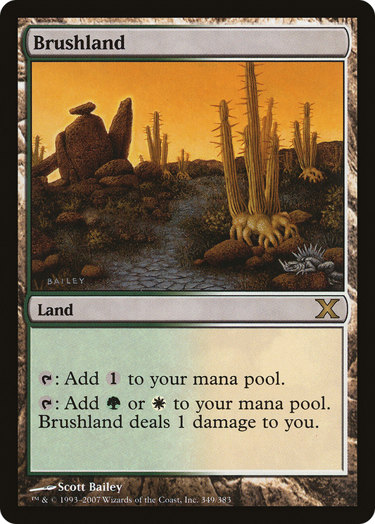 Brushland (349) Foil - Tenth Edition