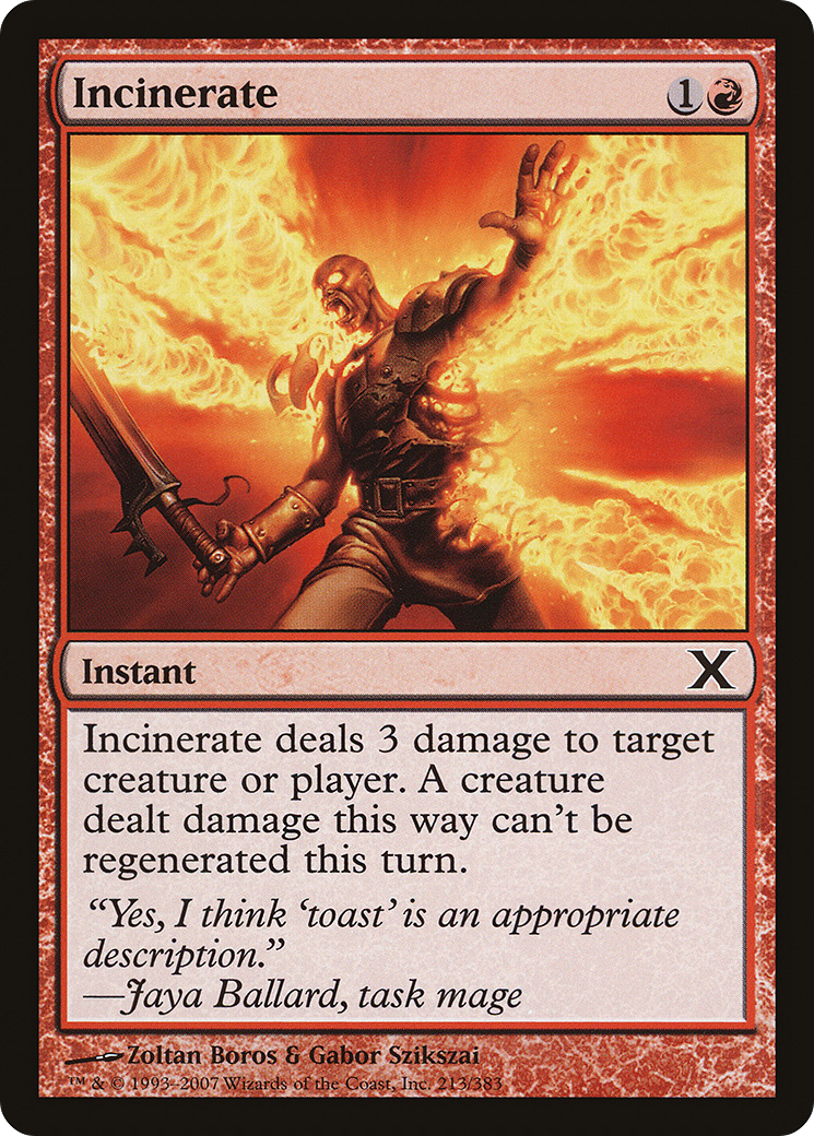 Incinerate (213) - Tenth Edition