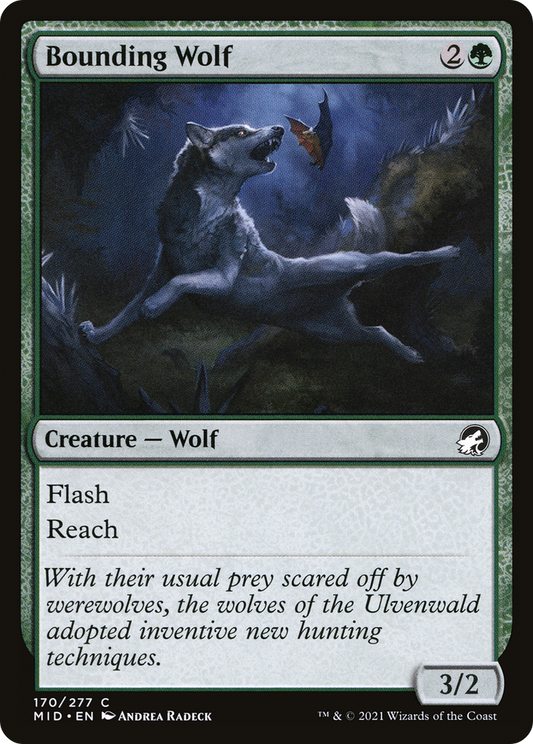 Bounding Wolf (170) Foil - Innistrad: Midnight Hunt