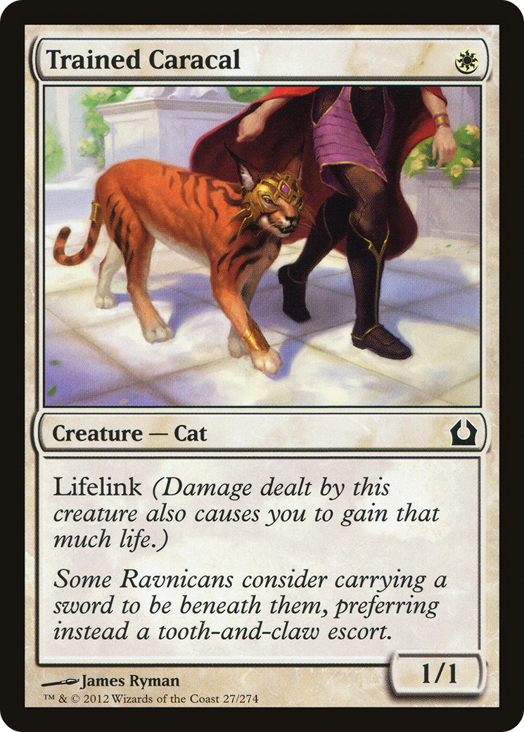 Trained Caracal (027) - Return to Ravnica