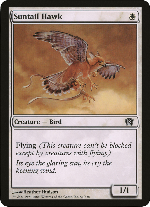 Suntail Hawk (Oversized) [Eighth Edition Box Topper] | Silver Goblin