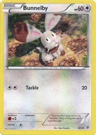 Bunnelby (30/39) [XY: Kalos Starter Set] | Silver Goblin