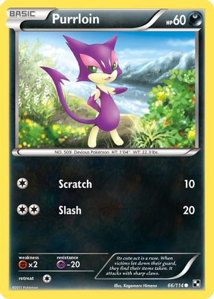 Purrloin (66/114) [Black & White: Base Set] Reverse Holofoil