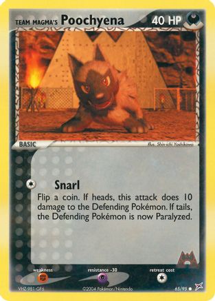 Team Magma's Poochyena (65/95) [EX: Team Magma vs Team Aqua] Reverse Holofoil