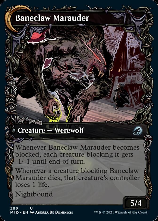 Baneblade Scoundrel // Baneclaw Marauder (Showcase) (289) Foil - Innistrad: Midnight Hunt