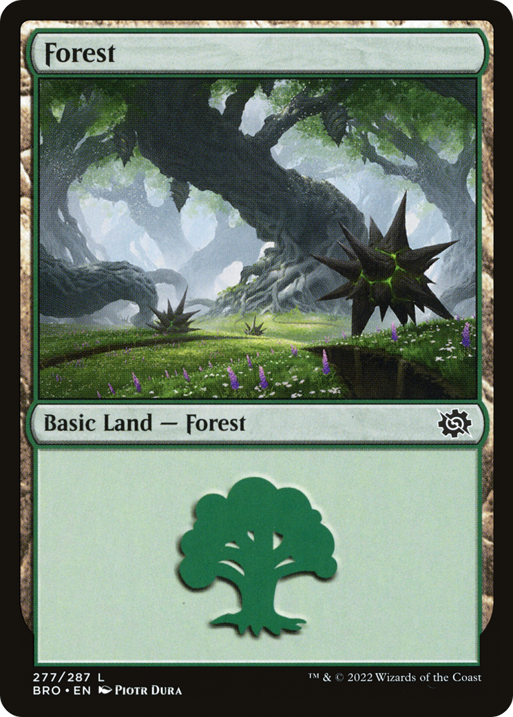 Forest (277) - The Brothers' War