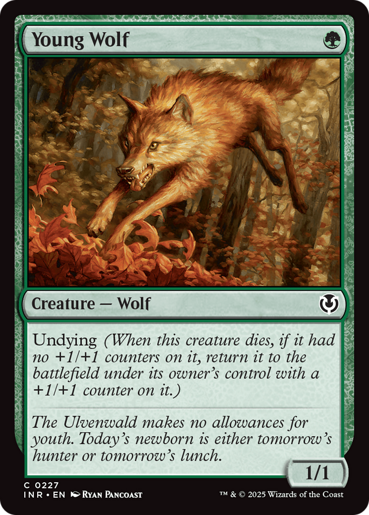 Young Wolf [Innistrad Remastered] | Silver Goblin