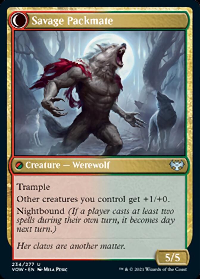 Child of the Pack // Savage Packmate (234) - Innistrad: Crimson Vow