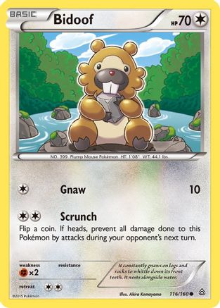 Bidoof (116/160) [XY: Primal Clash] | Silver Goblin