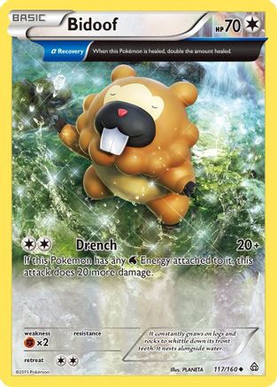 Bidoof (117/160) [XY: Primal Clash] Reverse Holofoil