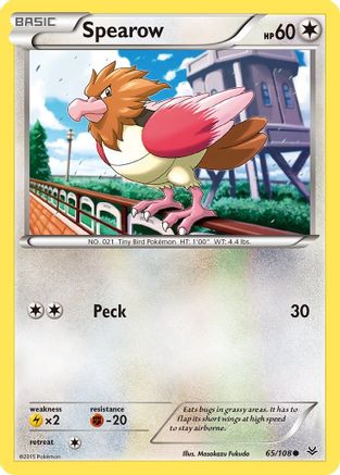 Spearow (65) Reverse Holofoil - XY  Roaring Skies
