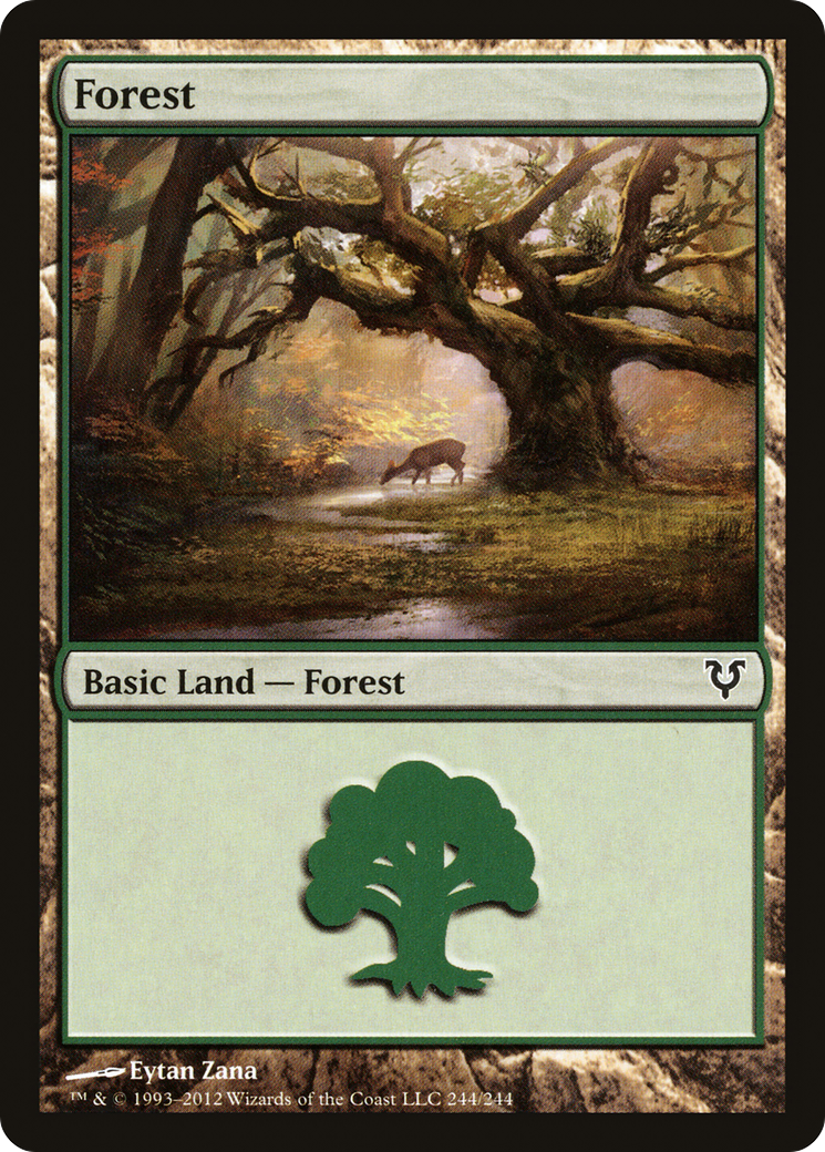 Forest (244) Foil - Avacyn Restored