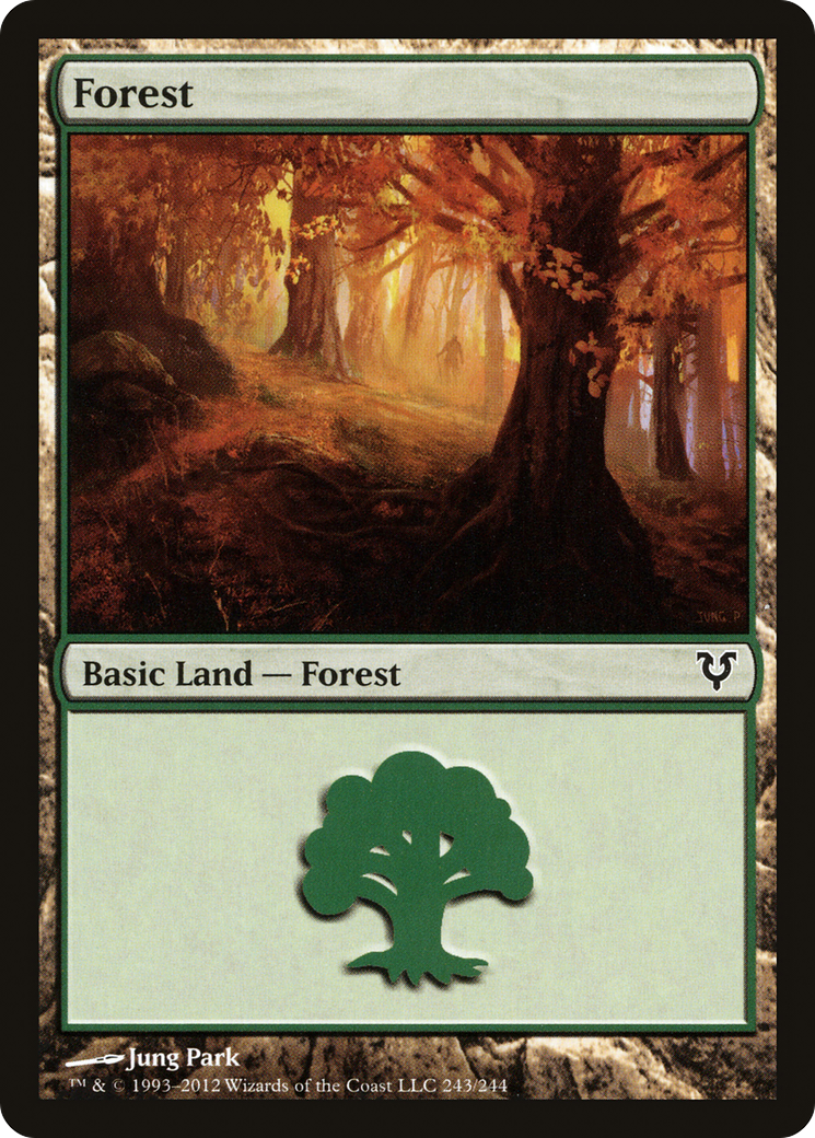 Forest (243) Foil - Avacyn Restored