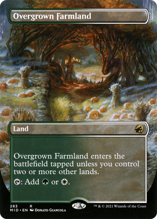 Overgrown Farmland (Borderless) (283) - Innistrad: Midnight Hunt