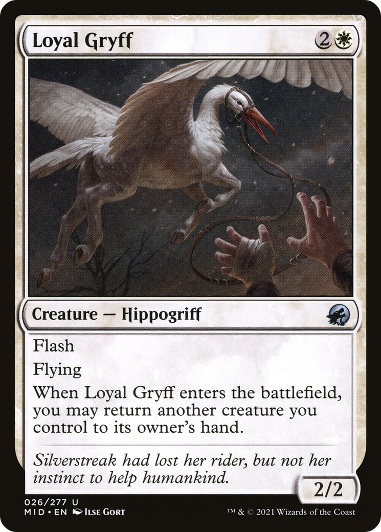 Loyal Gryff [Innistrad: Midnight Hunt] | Silver Goblin