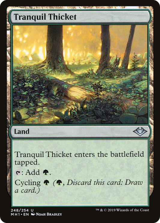 Tranquil Thicket (248) - Modern Horizons