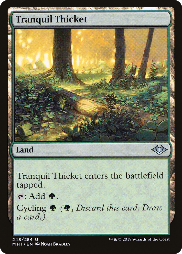 Tranquil Thicket (248) Foil - Modern Horizons