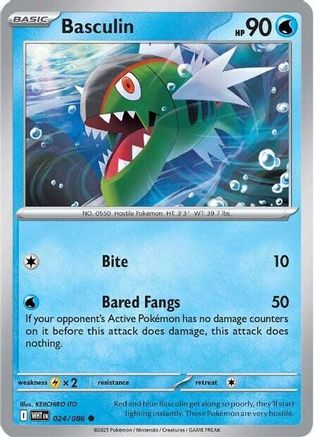 Basculin (24) - White Flare