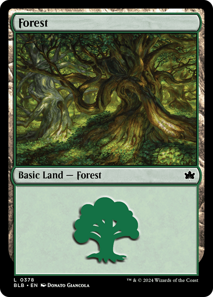 Forest (0378) [Bloomburrow] Foil