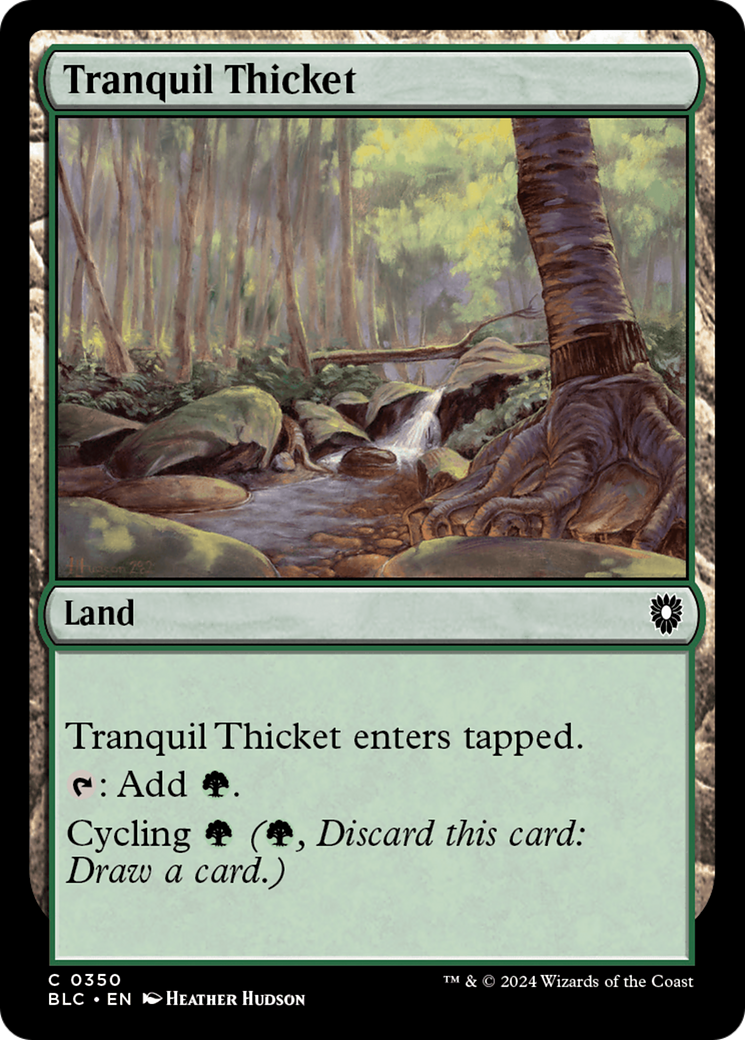 Tranquil Thicket (350)
