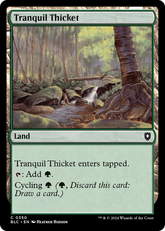 Tranquil Thicket (350)