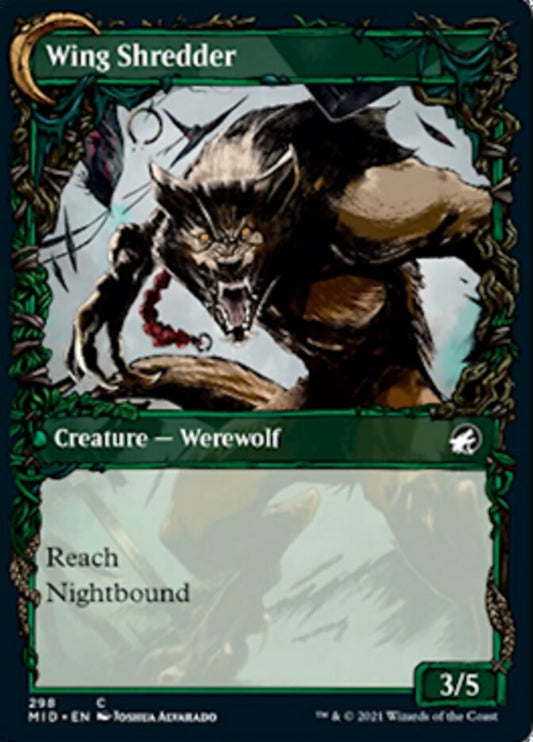 Bird Admirer (Showcase) (298) - Innistrad: Midnight Hunt