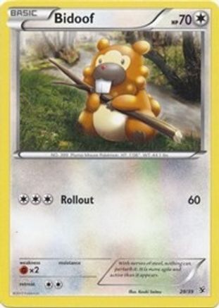 Bidoof (29) - Kalos Starter Set
