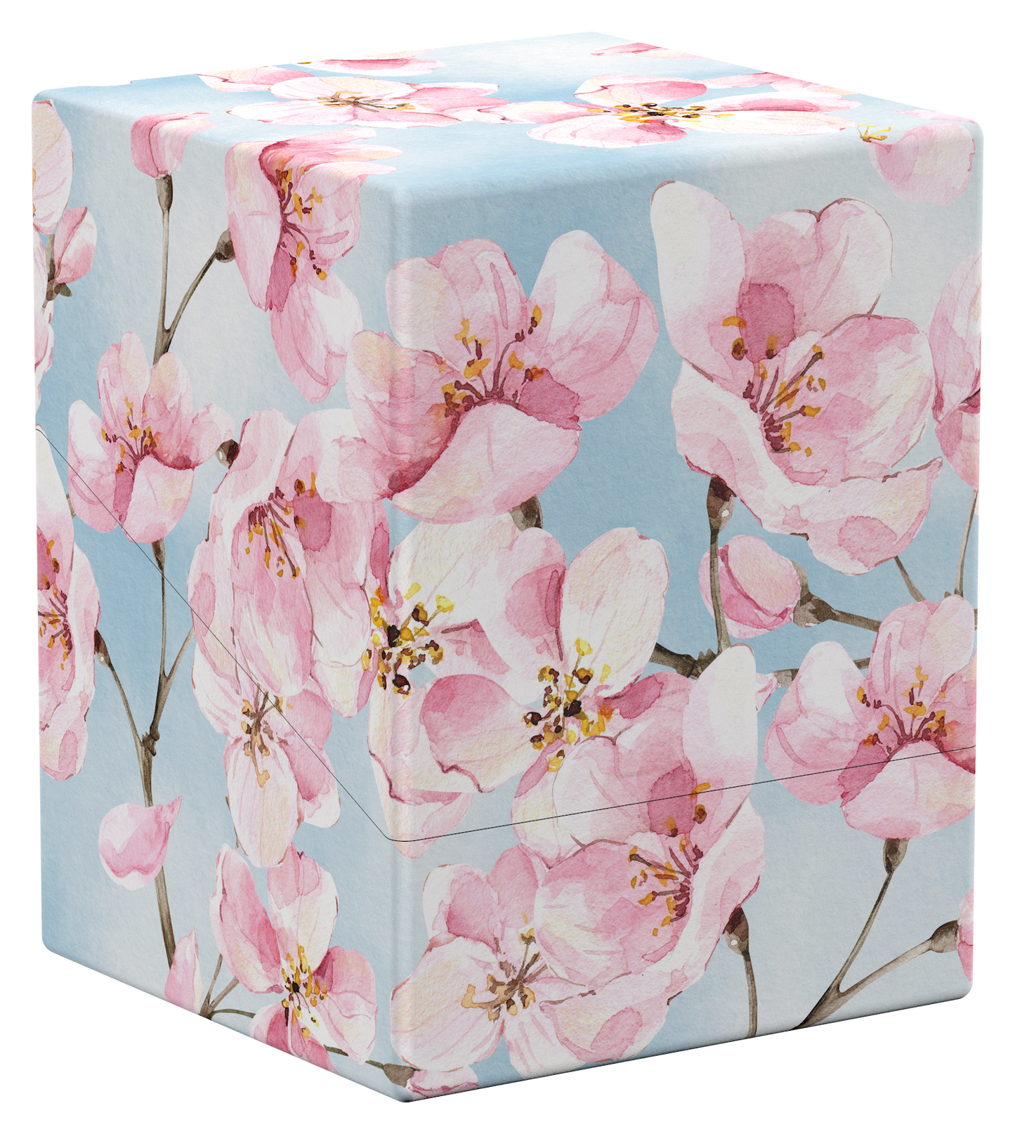 Boulder 100+  Floral Places - Cherry Blossom