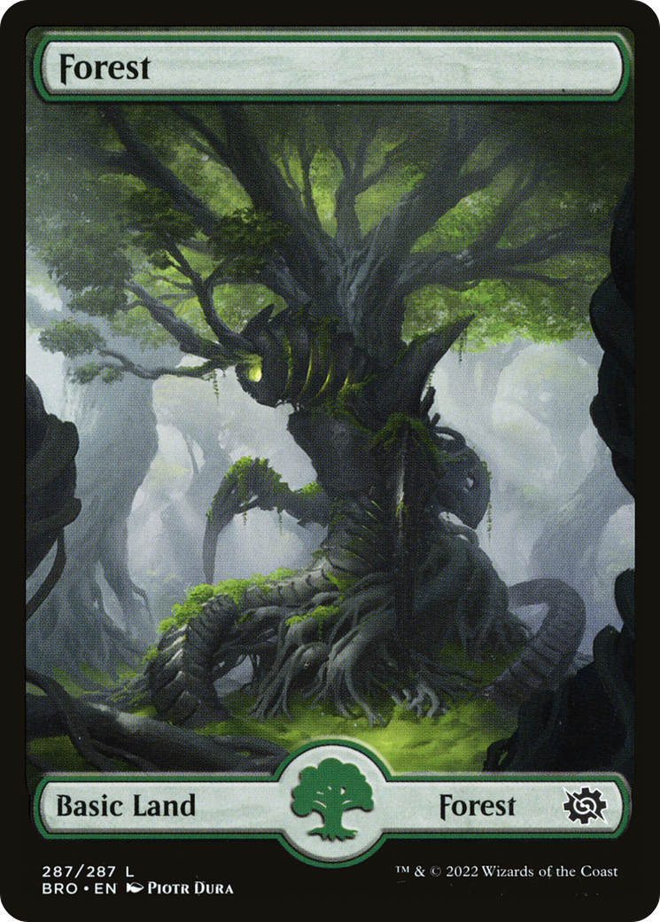 Forest – Full Art (287) Foil - The Brothers' War