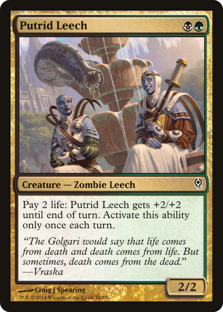 Putrid Leech (051) - Duel Decks: Jace vs. Vraska