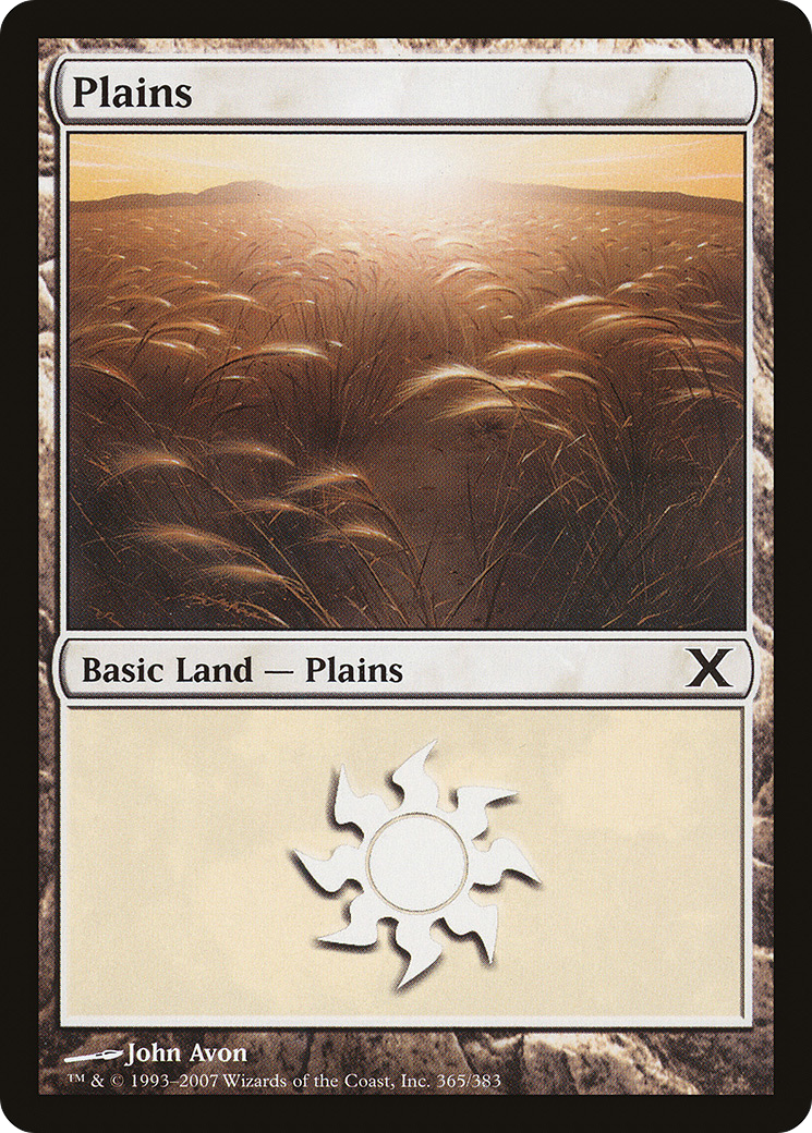 Plains (365) Foil - Tenth Edition