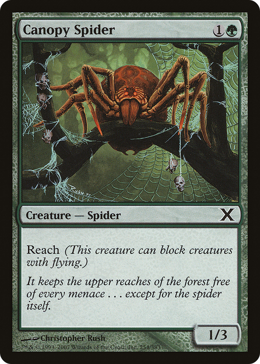 Canopy Spider (254) - Tenth Edition