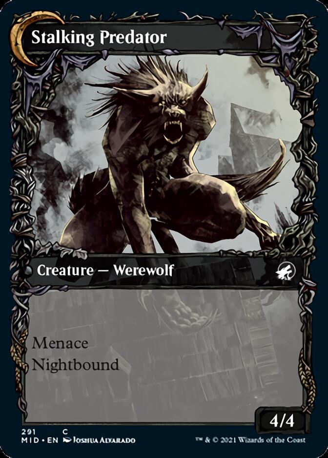 Shady Traveler (Showcase) (291) - Innistrad: Midnight Hunt
