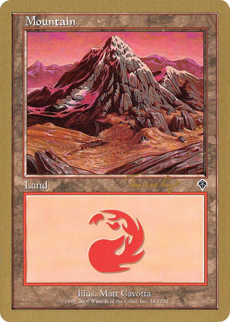 Mountain (343) - 2001 Tom van de Logt (INV) (Retro) - World Championship Decks 2001