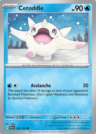 Cetoddle (53) Reverse Holofoil - Paldea Evolved