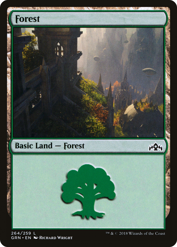 Forest (264) Foil - Guilds of Ravnica