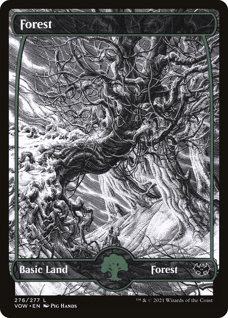 Forest (276) - Innistrad: Crimson Vow