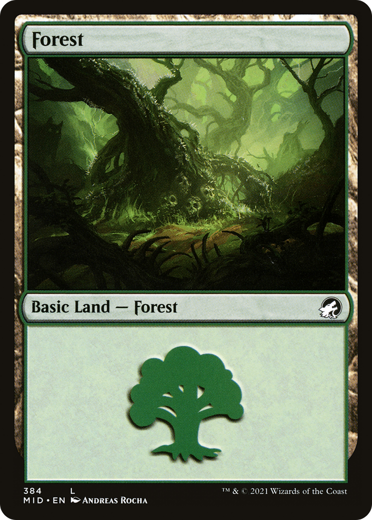 Forest (384) - Innistrad: Midnight Hunt