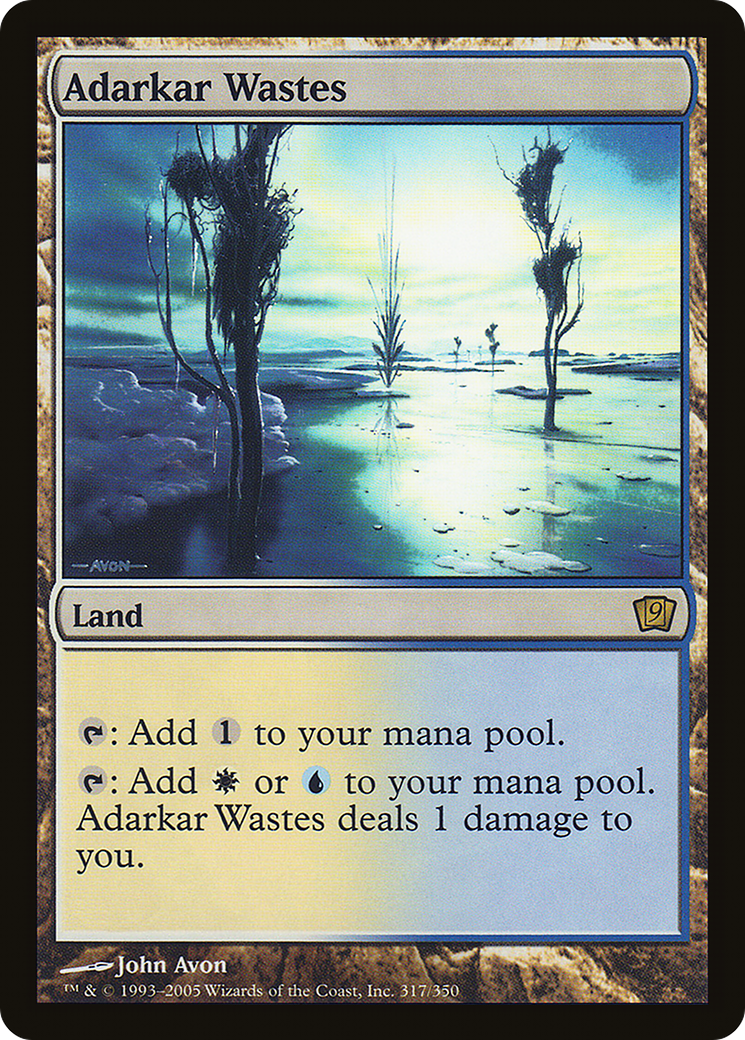 Adarkar Wastes (317) Foil - Ninth Edition