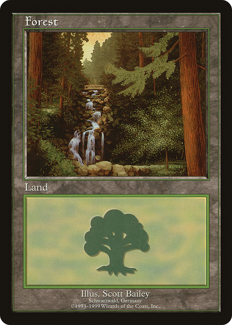 Forest (001) - European Land Program