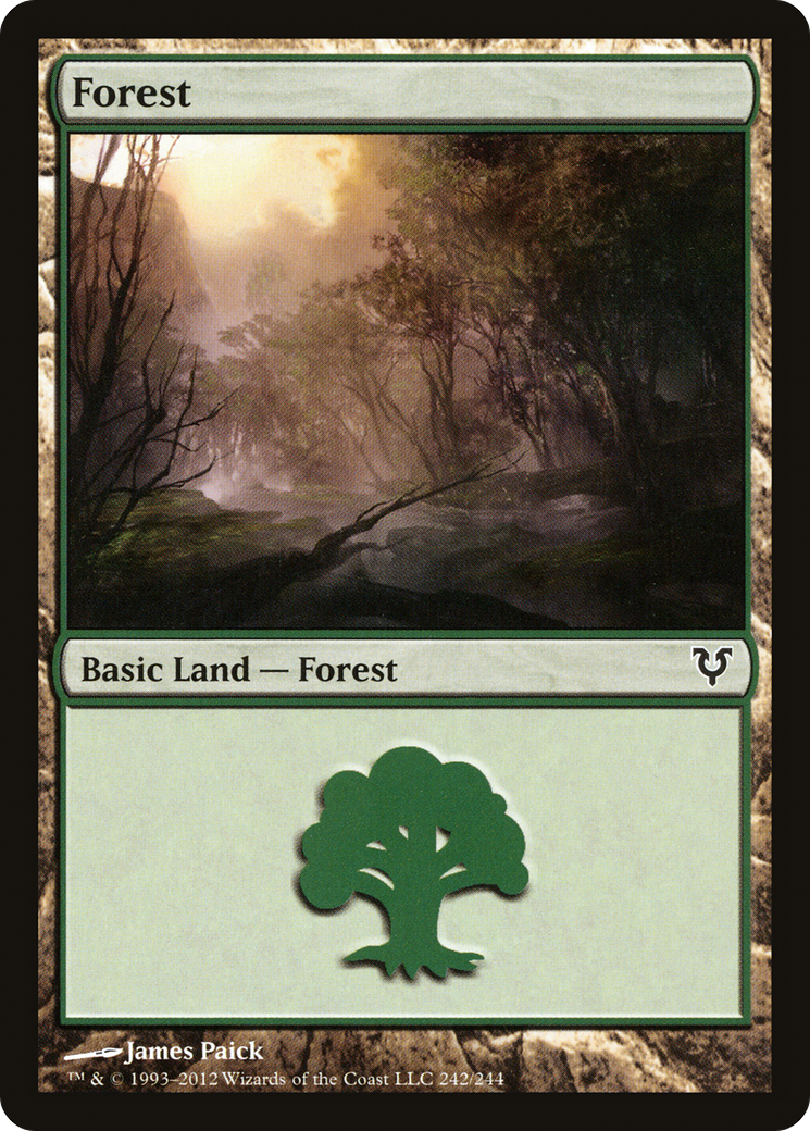 Forest (242) Foil - Avacyn Restored