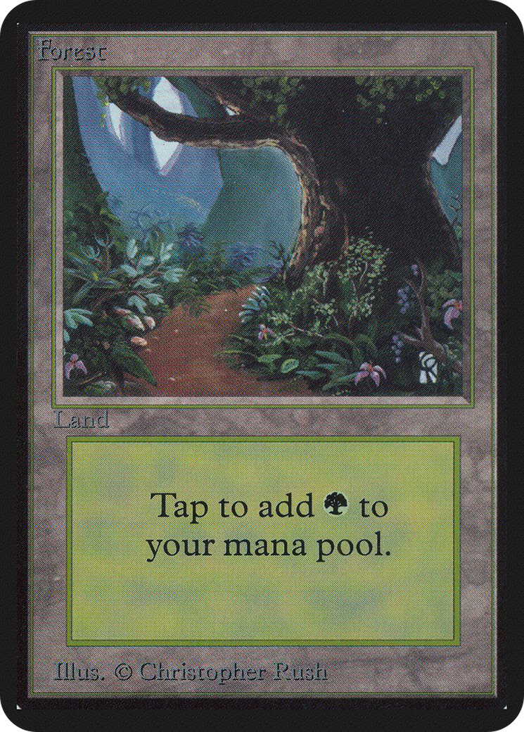 Forest (b) - Limited Edition Alpha