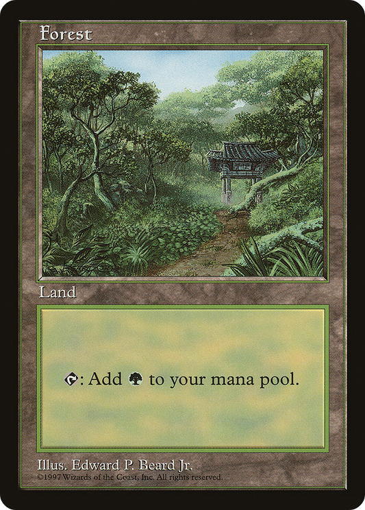 Forest (c) - Asia Pacific Land Program