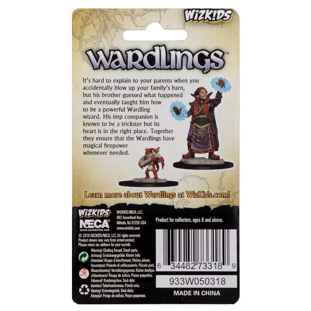 Wardlings: Boy Wizard And Imp | Silver Goblin