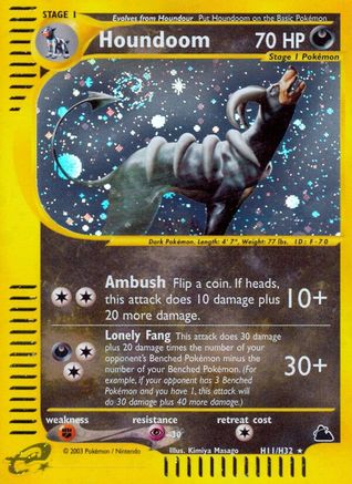 Houndoom (H11) Holofoil - Skyridge