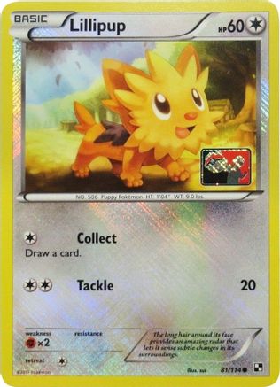 Lillipup (League Promo) (81) Reverse Holofoil - Black & White